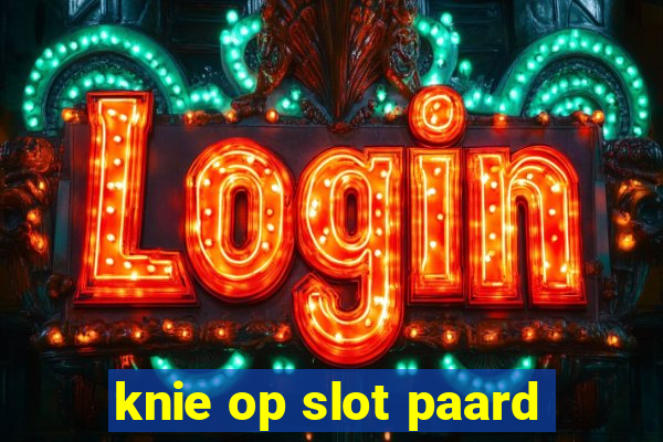 knie op slot paard