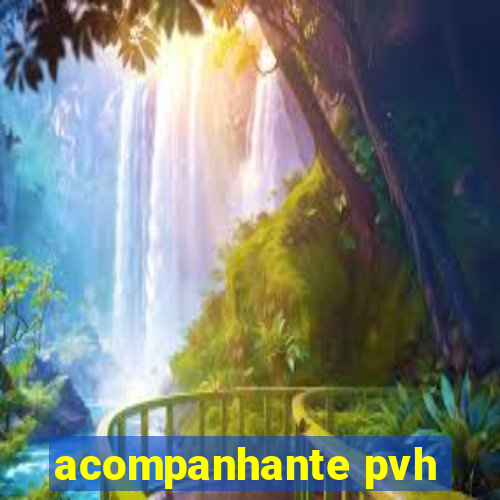 acompanhante pvh