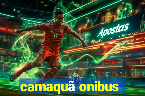 camaquã onibus