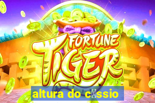 altura do c谩ssio