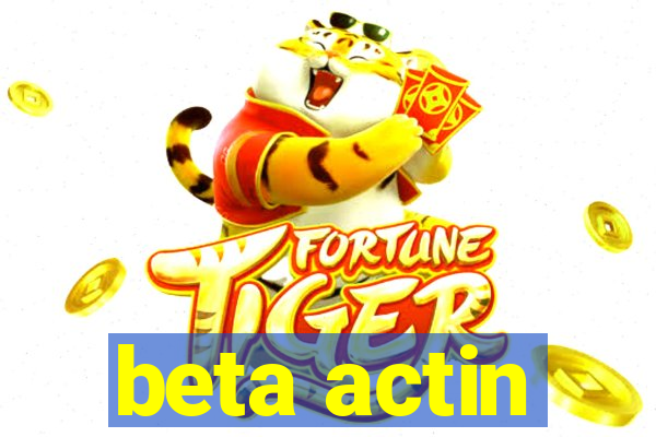 beta actin