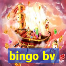 bingo bv