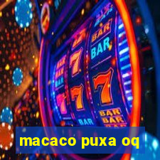 macaco puxa oq