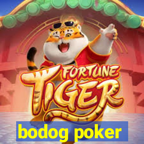 bodog poker