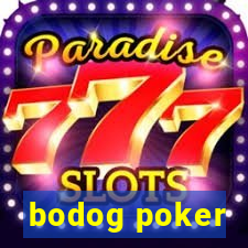 bodog poker