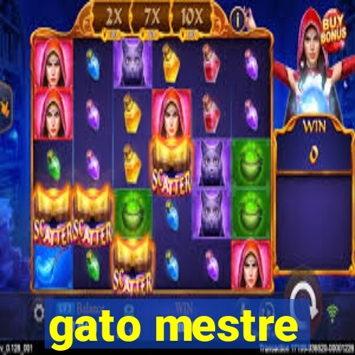 gato mestre