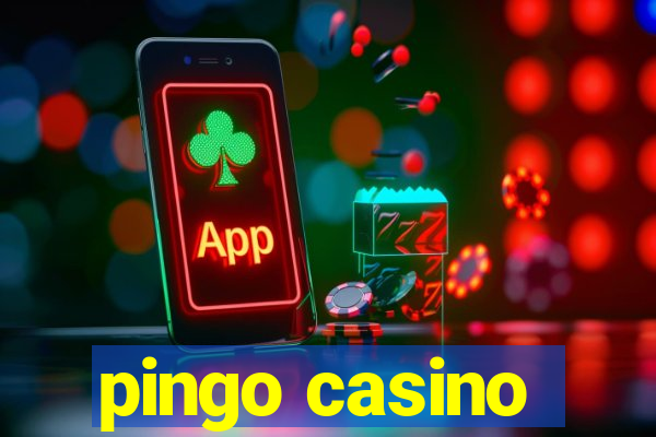 pingo casino