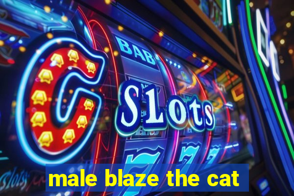 male blaze the cat