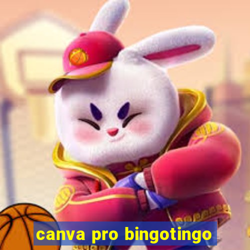 canva pro bingotingo