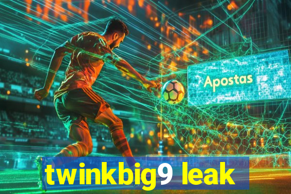 twinkbig9 leak