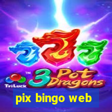 pix bingo web