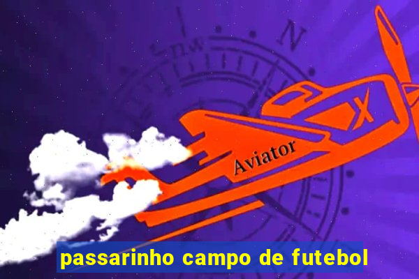 passarinho campo de futebol