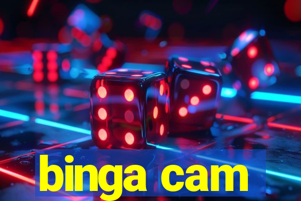 binga cam