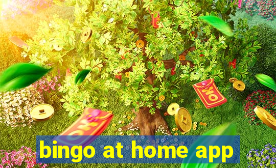 bingo at home app