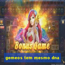 gemeos tem mesmo dna