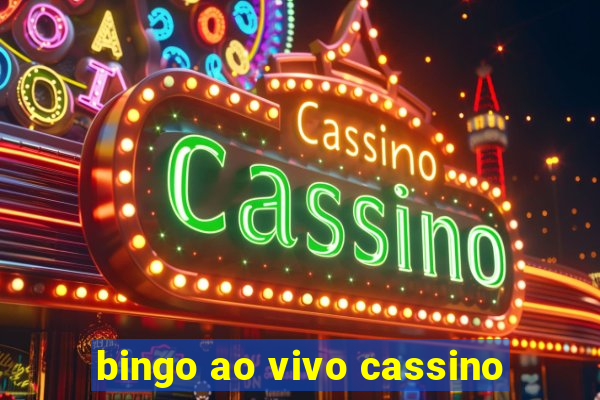 bingo ao vivo cassino