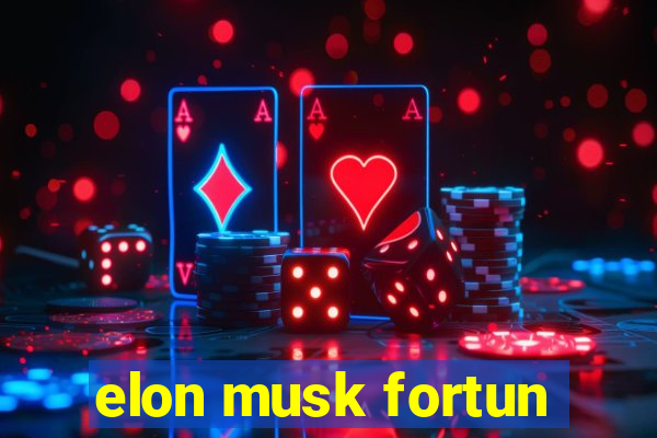 elon musk fortun