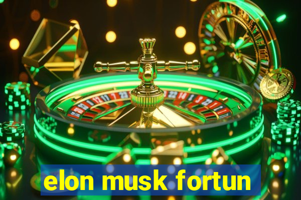 elon musk fortun