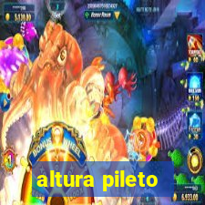 altura pileto