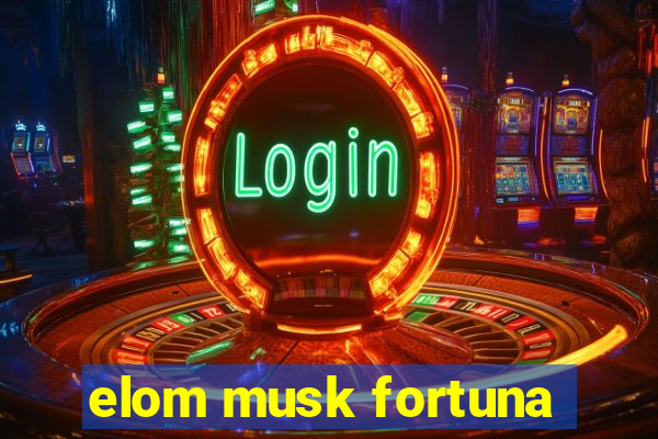 elom musk fortuna