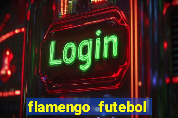 flamengo futebol play hd