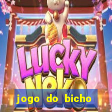 jogo do bicho aposta certa