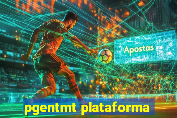 pgentmt plataforma