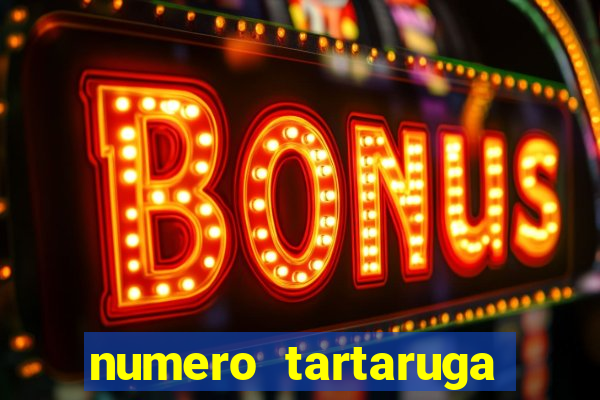 numero tartaruga jogo do bicho