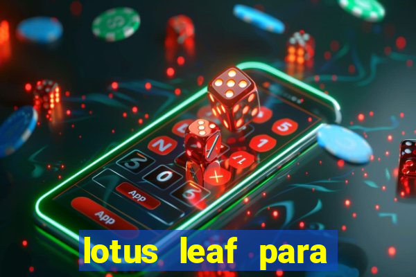 lotus leaf para que serve