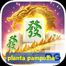 planta pampulha