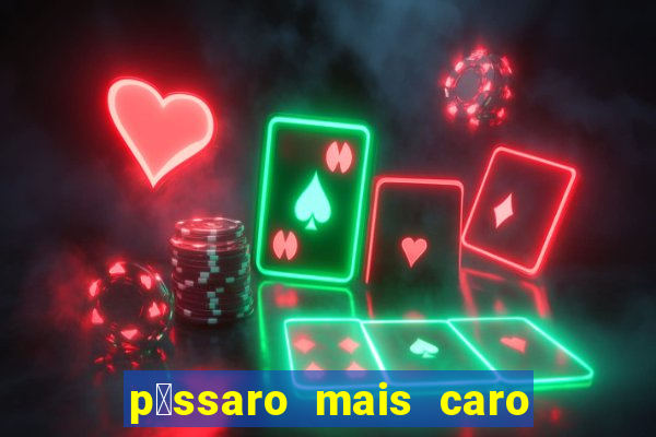 p谩ssaro mais caro do mundo