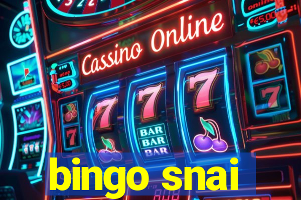 bingo snai