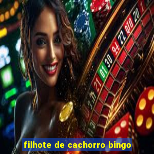 filhote de cachorro bingo