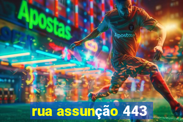 rua assunção 443