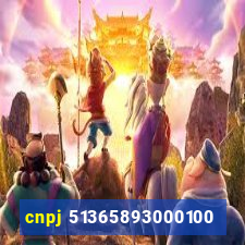 cnpj 51365893000100