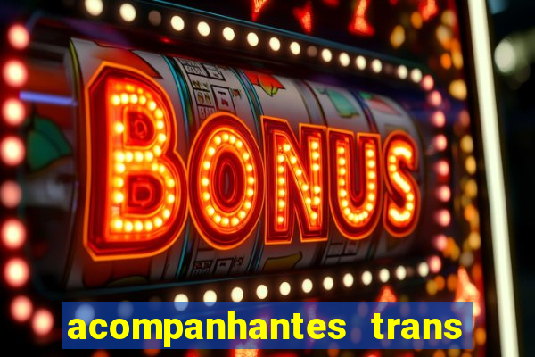 acompanhantes trans em santos