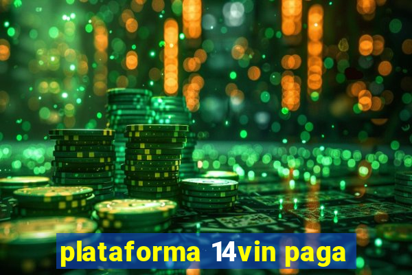 plataforma 14vin paga