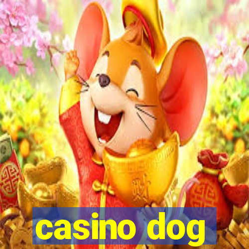 casino dog