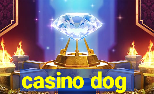 casino dog