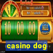 casino dog