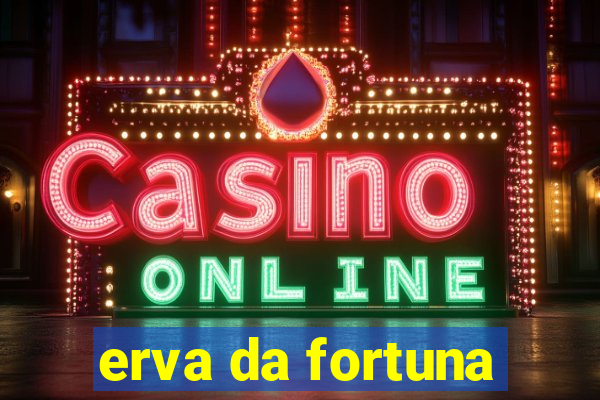 erva da fortuna