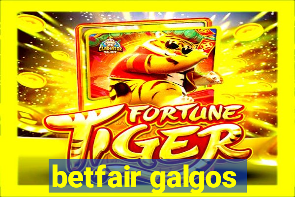 betfair galgos