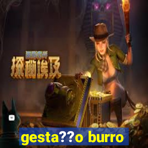 gesta??o burro