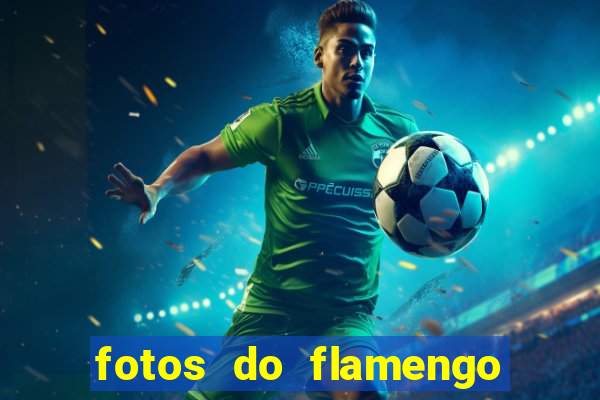 fotos do flamengo para perfil