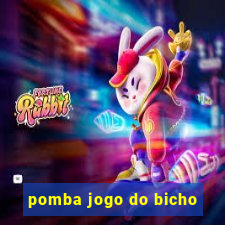 pomba jogo do bicho