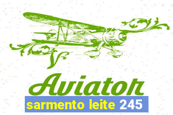 sarmento leite 245