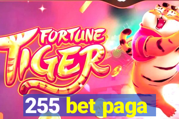 255 bet paga