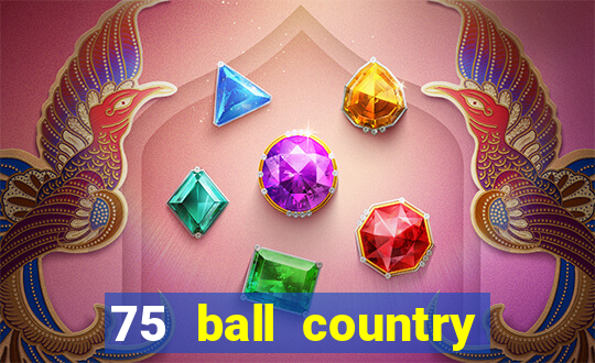 75 ball country road bingo