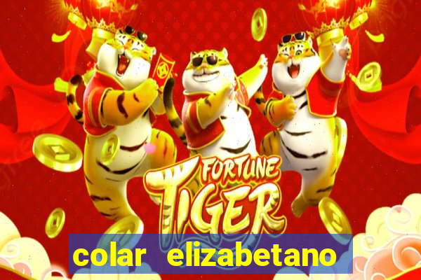 colar elizabetano gato petz