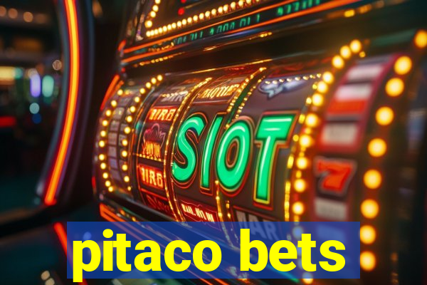 pitaco bets